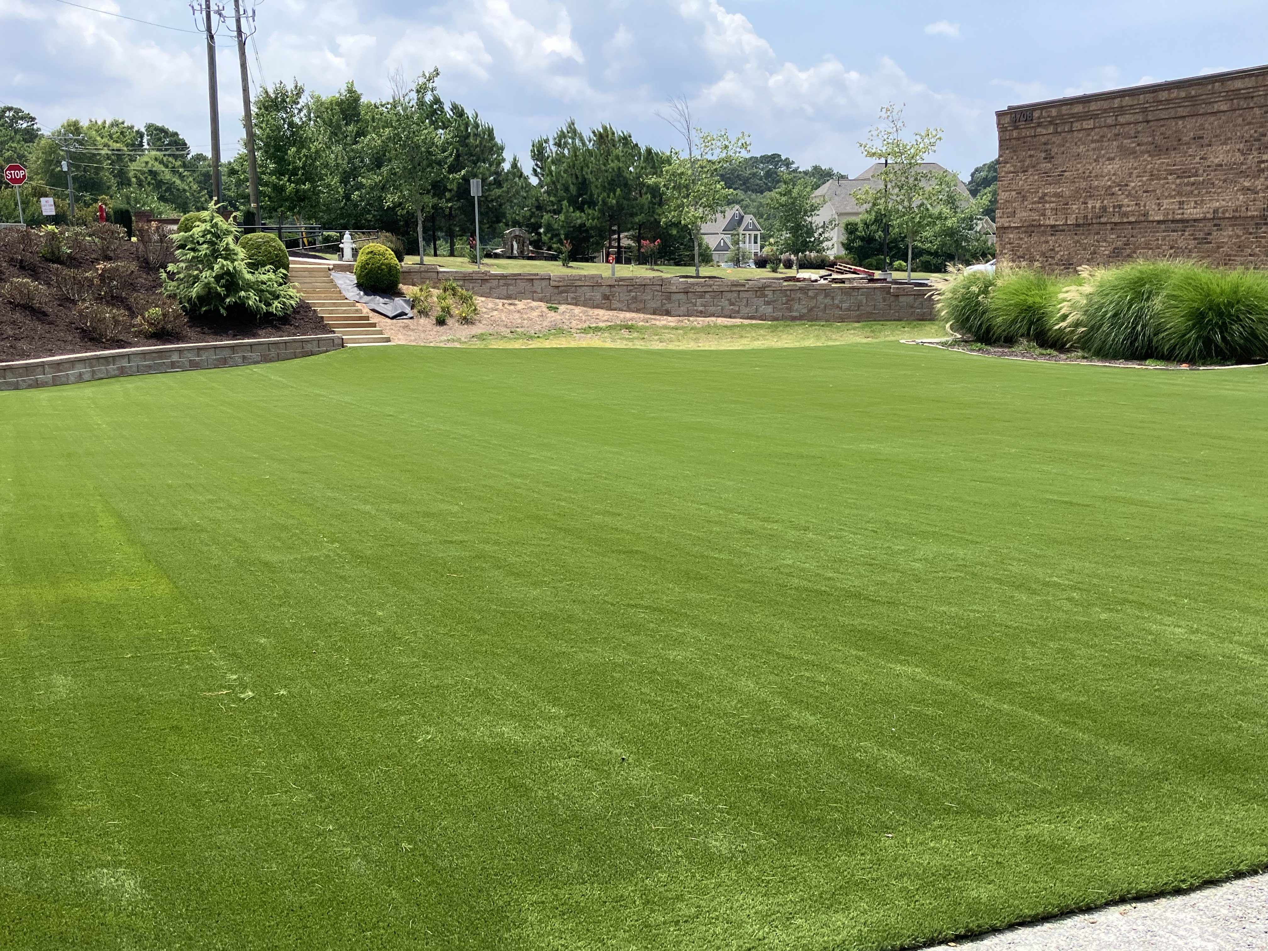 Suburban Backyard Bliss