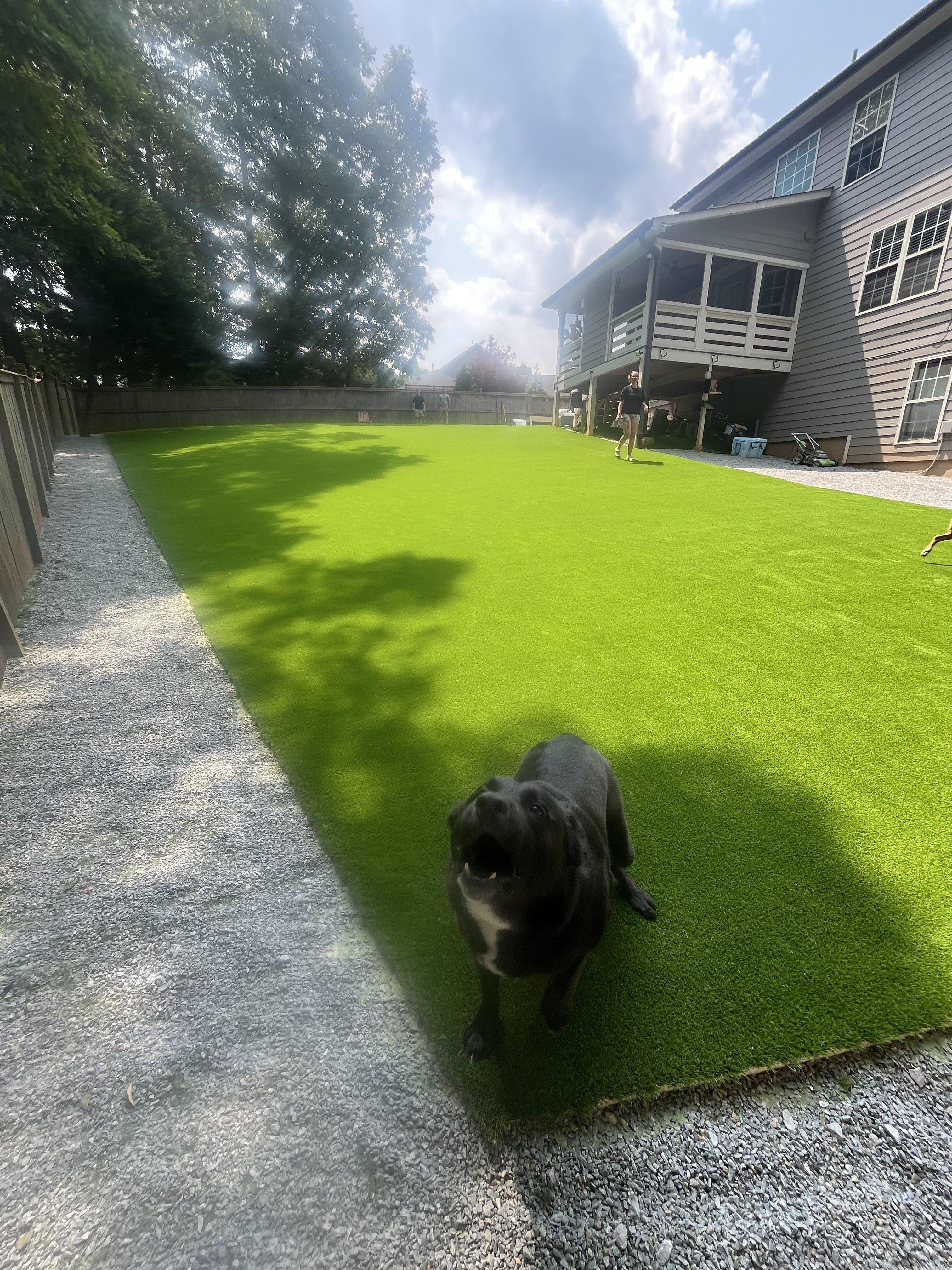 Pet-Friendly Paradise